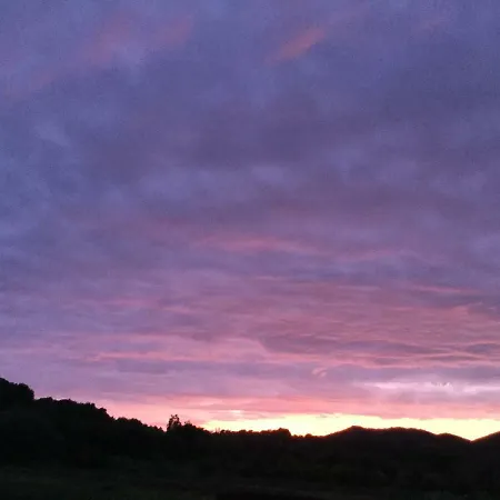 Sogno Latino 农家乐 *