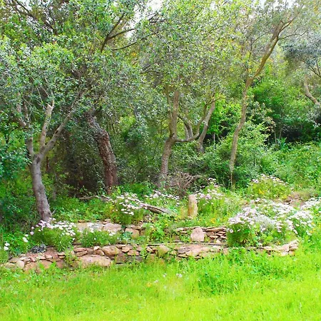 农家乐 Sogno Latino 伊格莱西亚斯